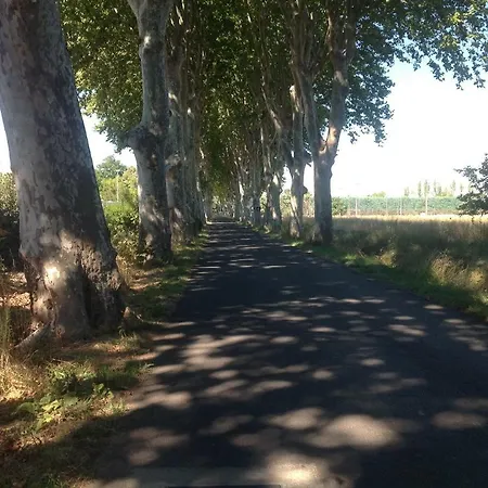 Lanquedoc - L'amandier Tatil Evi Cazouls-d Herault