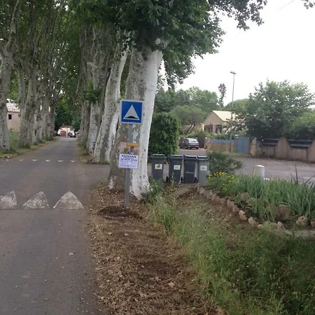 Lanquedoc - L'amandier *