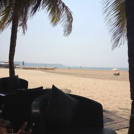 Lanquedoc - L'amandier Cazouls-d Herault